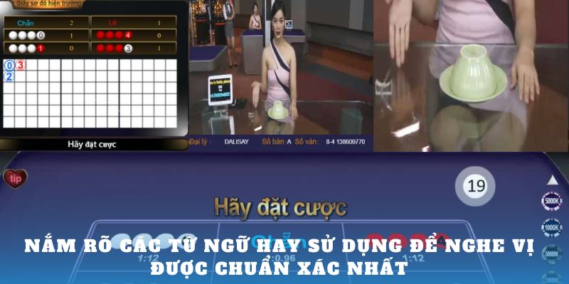 Nắm rõ các từ ngữ hay sử dụng để nghe vị được chuẩn xác nhất