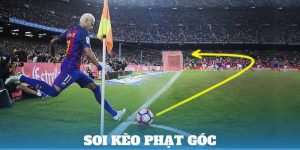 soi kèo phạt góc