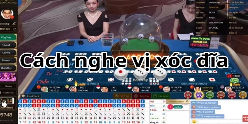 Chi tiết về vai trò của cách bắt vị xóc đĩa