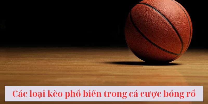 Các loại kèo phổ biến trong cá cược bóng rổ.